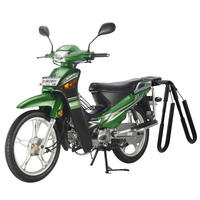 Support de planche de surf amélioré pour vélo, support latéral pour vélo électrique et trottinette, en alliage d'aluminium robuste
