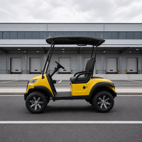 Voiturette de golf électrique multifonctionnelle 2 places, moteur AC 3,5 kW, capacité de montée de 20 % pour patrouille des sites industriels et entrepôts