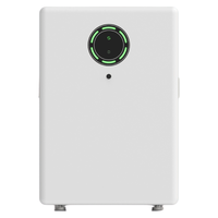 Sistem Penyimpanan Energi Baterai LiFePO4 All-In-One 256V Terpasang di Dinding untuk Sistem Grid Hibrida