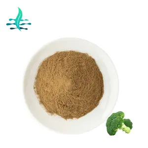 Ekstrak Brokoli Bubuk Sulforaphane CAS4478-93-7 Bubuk Sulforaphane