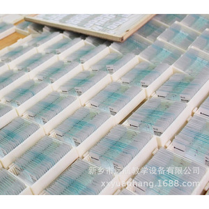 Ensemble de tranches de spécimens pour microscope biologique expérimental (100 types) - Matériel pédagogique biologique - Tranches de spécimens biologiques - Product Image 1