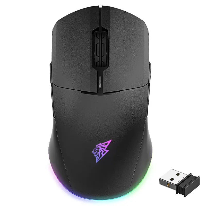 Souris de jeu pour ordinateur portable sans fil OEM ODM 2.4G 1600 DPI avec récepteur USB pour bureau à domicile