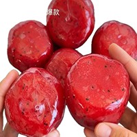 Vaseline Watermelon Smoothie, Jouet sensoriel anti-stress à presser, à froisser et à étirer, en forme de nourriture amusante