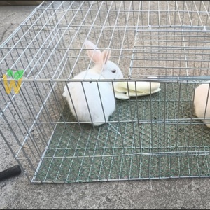 Cage en grillage métallique pour poulets, coqs, lapins et cailles - Product Image 6