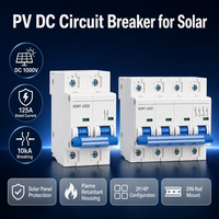 Disjoncteur CC solaire Wanbo-539 DZ47-125Z 125A DC1000V pour panneaux photovoltaïques 2P 4P, interrupteur à air sur rail DIN