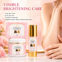 Kit Éclaircissant pour les Taches Sombres du Visage : Savon, Crème et Sérum Blanchissants pour Peau Noire – OEM/ODM, Vente en Gros, Logo Personnalisé
