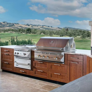 Juegos <span class=keywords><strong>de</strong></span> muebles <span class=keywords><strong>de</strong></span> cocina <span class=keywords><strong>para</strong></span> barbacoa profesional al aire libre con <span class=keywords><strong>chapa</strong></span> <span class=keywords><strong>de</strong></span> madera moderna y encendido automático <span class=keywords><strong>de</strong></span> acero inoxidable - Product Image 1