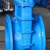 Katup Gerbang Baja Tahan Karat Langsung dari Pabrik 304 316 CF8M 4 Inch DN100 Kelas 300 Flanged Rising Stem Tersedia di Stok