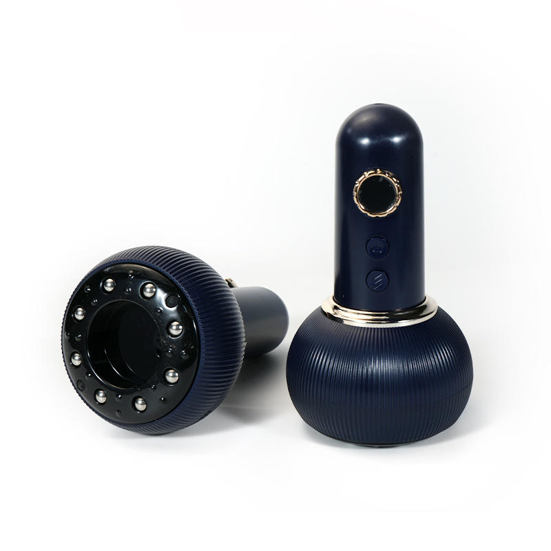 แปรงบลูเมอริเดียน + น้ำมันหอมระเหย 3 ชนิด + แผนภาพเส้นเมอริเดียนของมนุษย์