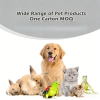 Jouet pour animaux de compagnie durable et auto-entretenant, en peluche, couineur, en caoutchouc latex et TPR, balle à mâcher, jouet de stimulation pour chat, jouet à mâcher à la catnip, vente en gros
