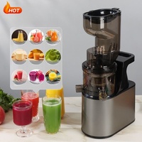 Commerciële Elektrische Koude Slow Verse Smoothie Fruit Citrus Sinaasappel Afzuigmachine Blender Slow Juicer
