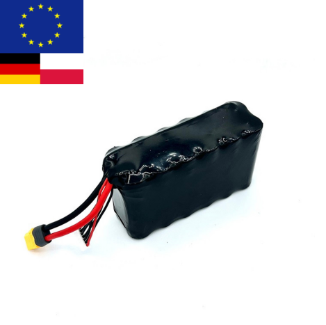 6S2P 8000mAh 8400mAh Molicel P42A Lithium Battery Pack 21.6V 22.2V 8.4Ah 12.6Ah 16.7Ah UAV Battery Pack With XT60