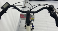 En 2024, les ventes directes d'usine sont destinées aux vélos pour le marché russe avec une livraison pratique