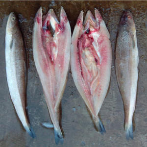 Máquina de limpieza industrial para matar peces pequeños superventas a nivel mundial - Product Image 5