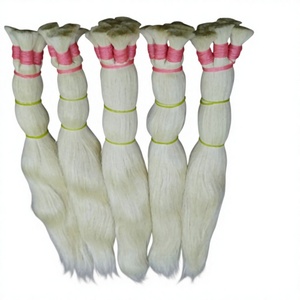 Indian Human Hair 100% Virgin Coloured Bulk Hair 26" <b>Silky</b> Straight - Product Image 3