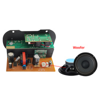 Caisson de basses actif SF5 220V personnalisable pour karaoké à domicile, double microphone, récepteurs radio FM et amplificateurs