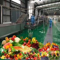 Ligne de production de machines pour la fabrication de purée, de pulpe, de jus, de sauce, de ketchup et de confiture de tomates et mangues à prix d'usine