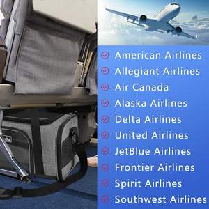 JW <span class=keywords><strong>PET</strong></span> katlanabilir genişletilebilir düğme kapatma ile evcil hayvan seyahat çantası havayolu onaylı köpek ve kedi taşıyıcı cam malzeme arabasından tipi - Product Image 6