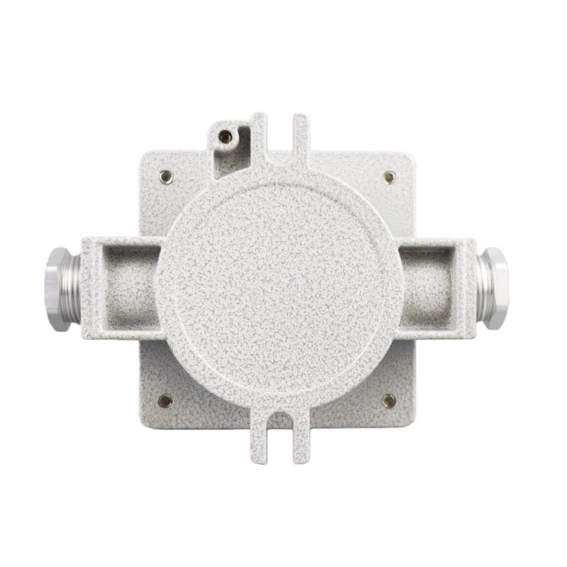 ATEX IP66 Waterproof 1-Gang 2-Gang 3-Gang 10A Wall Mounted Explosion ...