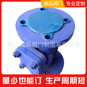 Válvula de Retención de Brida Tipo Elevador H41H-16 con Estructura de Fuelle en Acero Fundido o Acero Inoxidable para Medios de Aceite, Agua y Gas - Product Image 5