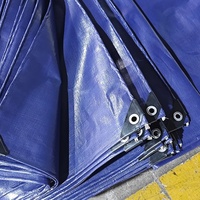 Bâche PE de style chaud Bâche résistante à l'eau Poly Canvas Lona Impermeavel 3x4