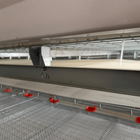 Cage de batterie entièrement automatique de type H 5000 pour ferme avicole de poulets de chair pour cages de pondeuse de poulets de chair