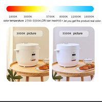 Lumières portables 2700-6500K 40W avec télécommande et variateur d'intensité pour studio photo, utilisables en extérieur et en intérieur