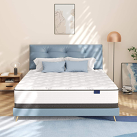 Matelas à ressorts de haute qualité pour chambre d'hôtel, tailles Twin, Double, Queen, King, compressé en boîte, pour usage scolaire et hospitalier