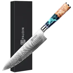 New Product 8 Inch 67 Layer VG10 High Quality Damascus Steel Peacock Pattern Chef Knife With Resin Handle
