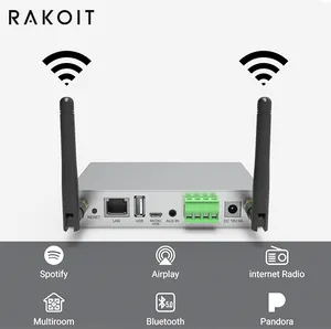 Rakoit-Amplificador digital A30 + 30w x 2 de doble canal para el hogar, profesional, recargable, inalámbrico, portátil, BT, Clase d