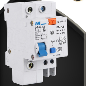 DZ47LE-63 1P +N Interruptor Diferencial RCBO de Corriente Residual 1P 2P 3P 4P 6A 10A 16A 20A 25A 32A 40A 50A 60A - Product Image 6
