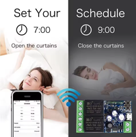 Module de commutation intelligent WIFI EWeLink DC 12V 24V 48V, récepteur relais 2 canaux, télécommande 2.4GHz, compatible avec Alexa pour portail, porte, LED