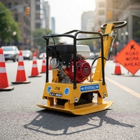 Compacteur à plaque portatif compact et léger, à pousser, réversible/unidirectionnel, avec livraison gratuite - Prix