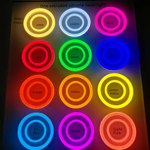 Haute qualité IP67 étanche 12V/24V Silicone Flexible néon lumière 1cm & 2.5cm & 5cm coupe extérieur enseignes au néon pour la publicité et déco - Product Image 2