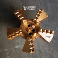 Usine 7 pouces 177mm 5 lames Concave PDC Bits PDC Drag Bit PDC Blade Bit pour le forage de puits