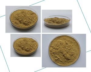 Добавка для суставов, большой запас, порошок экстракта мидий с зелеными губами - Product Image 2