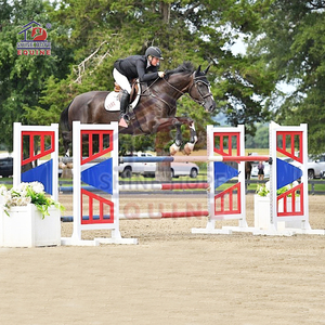 <strong>Aluminum</strong> <strong>Jump</strong> Stands Horse <strong>Show</strong> Jumping Wing - Product Image 2