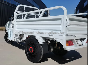 Camioneta Eléctrica Mini de Fácil Uso en Oferta, Capacidad de Carga de 200 kg, Alcance de 60-70 km, para Caja de Carga, Nuevo Vehículo de Energía de Europa para Automóviles - Product Image 3