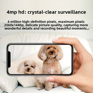 Kamera CCTV Nirkabel Kamera Jaringan untuk Fluorite Cloud Kamera <span class=keywords><strong>WiFi</strong></span> Nirkabel Dalam Ruangan Tampilan Panorama 360 Derajat Rumah Jarak Jauh - Product Image 2