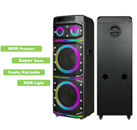 Haut-parleur de karaoké sans fil puissant 2000W avec USB et Aux, micro intégré, LED RGB, 2 micros portables, grand format en plastique, portable