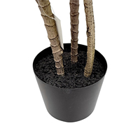 Plante artificielle Dracaena Sanderiana, Bambou porte-bonheur, 170 cm, Écologique, Durable, Dracaena tropicale du Brésil, Arbre artificiel d'intérieur