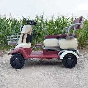 Triciclo <span class=keywords><strong>El</strong></span>éctrico de 800W con Función de Parada Automática de Alta Seguridad y Liberación Manual, Voltaje Universal, para Compras Diarias en <span class=keywords><strong>el</strong></span> Vecindario - Product Image 1