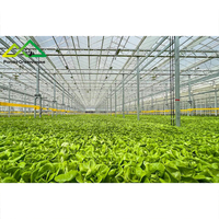Système d'hydroponie flottant commercial en PE/PVC |   Solution de serre à grande échelle pour la culture de la laitue et des herbes aromatiques à haute densité