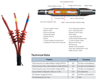 Tête de borne extérieure à trois conducteurs thermorétractable 11 Kv de qualité supérieure Produit exceptionnel dans la catégorie des bornes