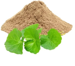 Poudre d'herbes de Gorakhmundi de qualité supérieure, extrait végétal botanique naturel, ingrédient ayurvédique traditionnel pour le bien-être quotidien - Product Image 3