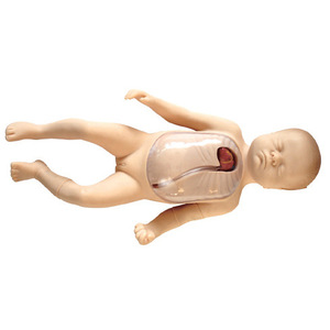 Modelo de cateterización venosa central periférica neonatal; Modelo de intubación neonatal; Modelo de entrenamiento para escuelas de medicina - Product Image 1