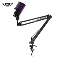 Microphone à condensateur professionnel USB pour diffusion en direct, jeux électroniques, ordinateur, dégradé RVB, enseignement