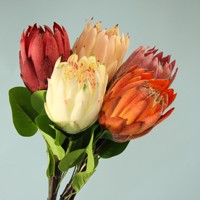 Fleur artificielle verte en soie King Protea pour la maison Centre de table Hôtel Arrangements de mariage Fête des mères Saint Valentin
