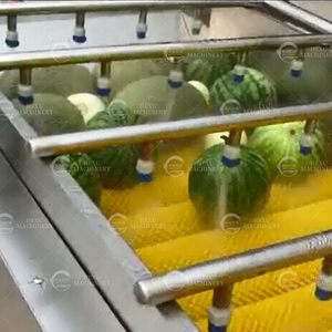 Cepillo de pulverización eléctrico Tipo de lavado Fresa <span class=keywords><strong>Sandía</strong></span> Cantalupo Tomate Lavadora de batata - Product Image 6