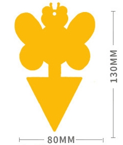 #02
